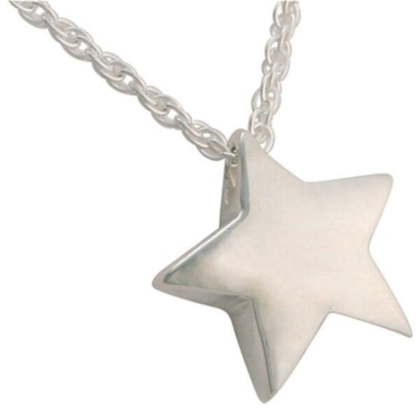 Star Necklace for Ashes